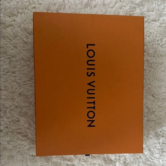 Louis Vuitton Signature Orange ShoeBox - Picture 1 of 6